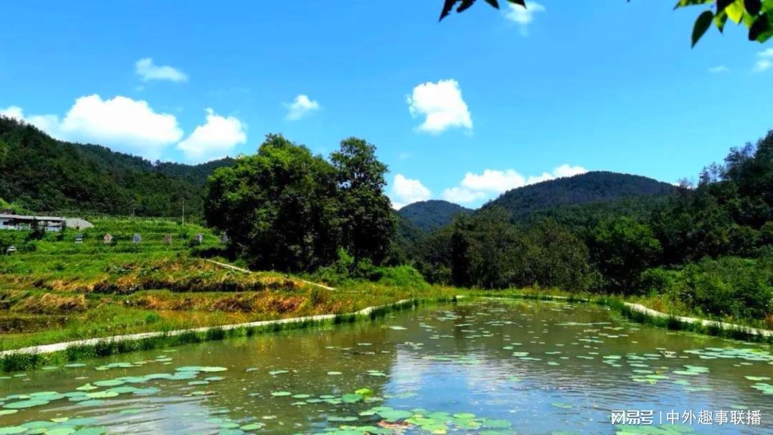 dy业务自助下单网址QQ支付：QQ支付便捷自助服务官方平台_快手点赞平台全网最低