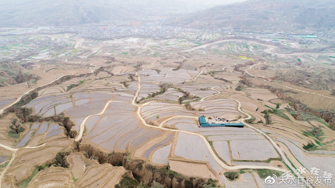 dy低价自助下单平台启航：崛新时代的科技创新_云商城