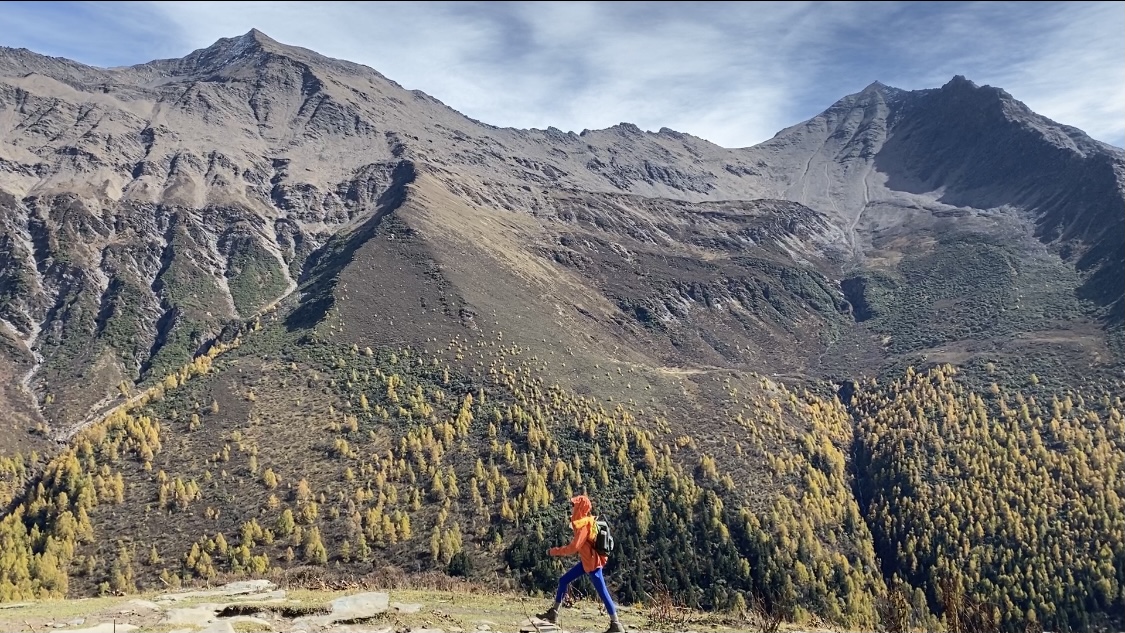 本周精准推广专属化打造您的店铺页面:赋能内容传播的利器苏新皓好韩